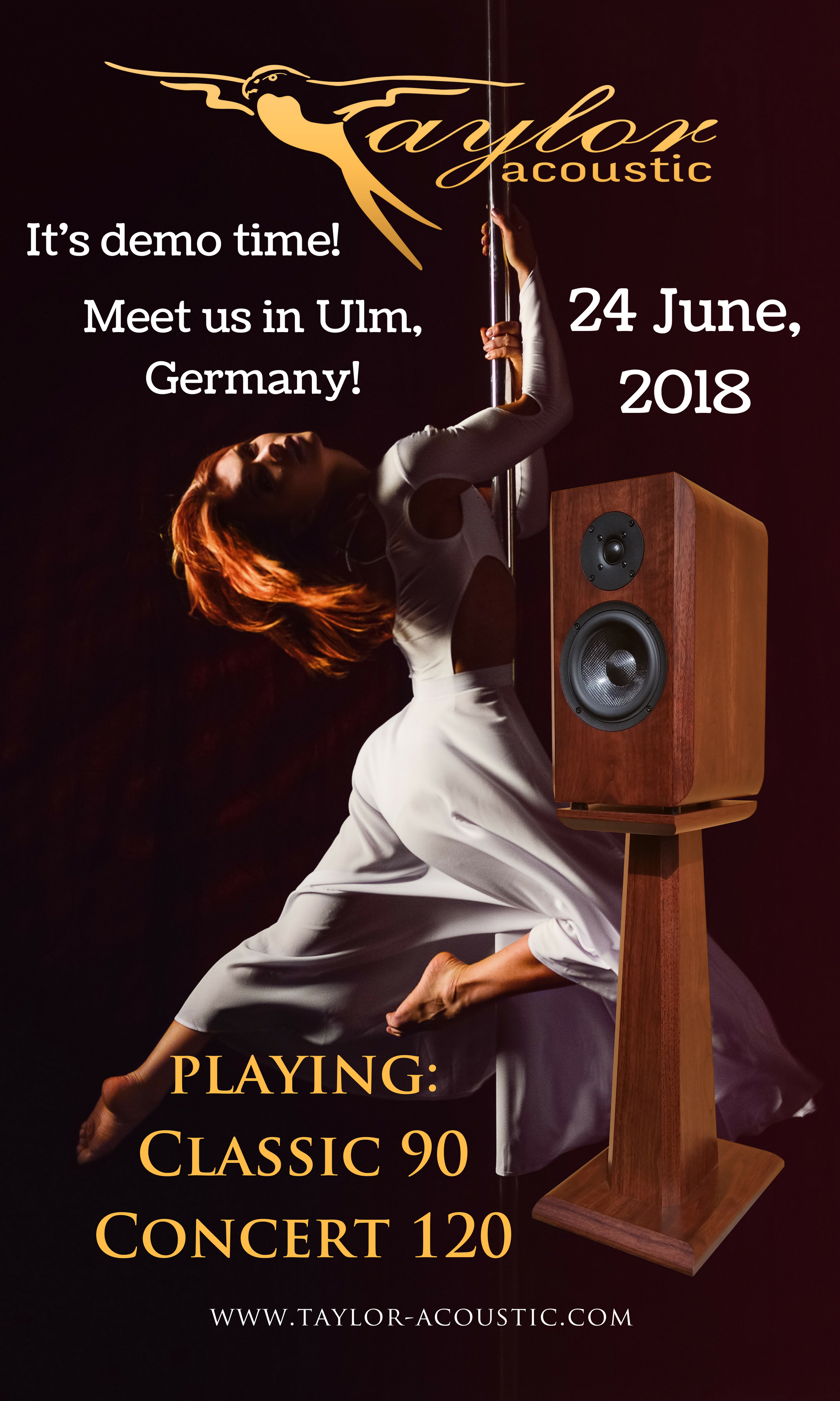 Taylor Acoustic demo in Ulm, Germany, 2018 June 24