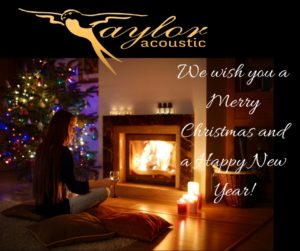 Taylor Acoustic Christmas