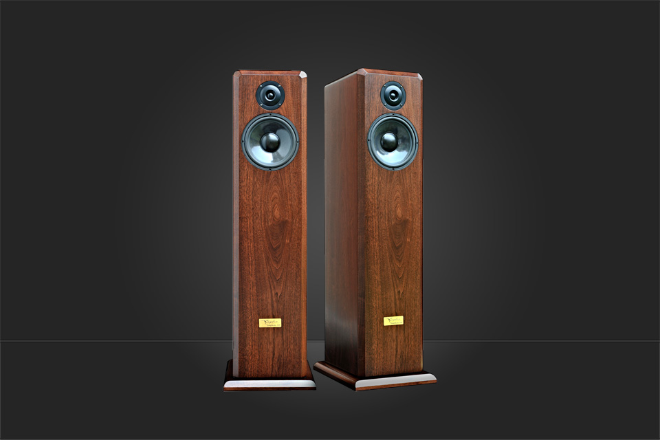 Taylor Acoustic Symphony 160 Taylor Acoustic